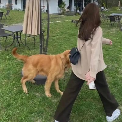 当哈利遇上圣诞老人
